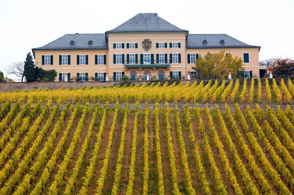 Johannisberg Castle with vineyard, Hessen, Germany. 