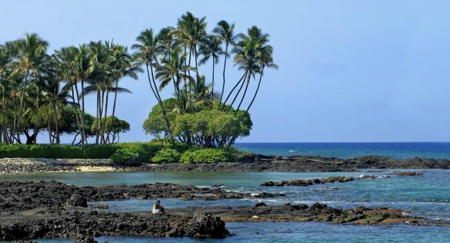 Young woman sits on the lava rocks of Anaehoomalu Bay on the Kohala Coast of the Big Island of Hawaii.  She is watching a green sea turtle that is basking in the sunlight and resting.