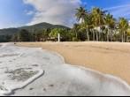 Tropical beach with coconut palms on Koh Phangan island, Thailand; Shutterstock ID 122842003; Project/Title: Thailand; Downloader: Melanie Marin