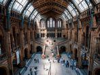 Natural History Museum, Kensington, London, England.