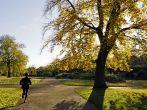 Women running in the morning. Hyde Park, London;
