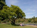 A young couple relaxing on the grass in Hampstead Heath during the summer months in London.
