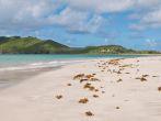 deserted sandy beach at Vieux Fort, Saint Lucia.