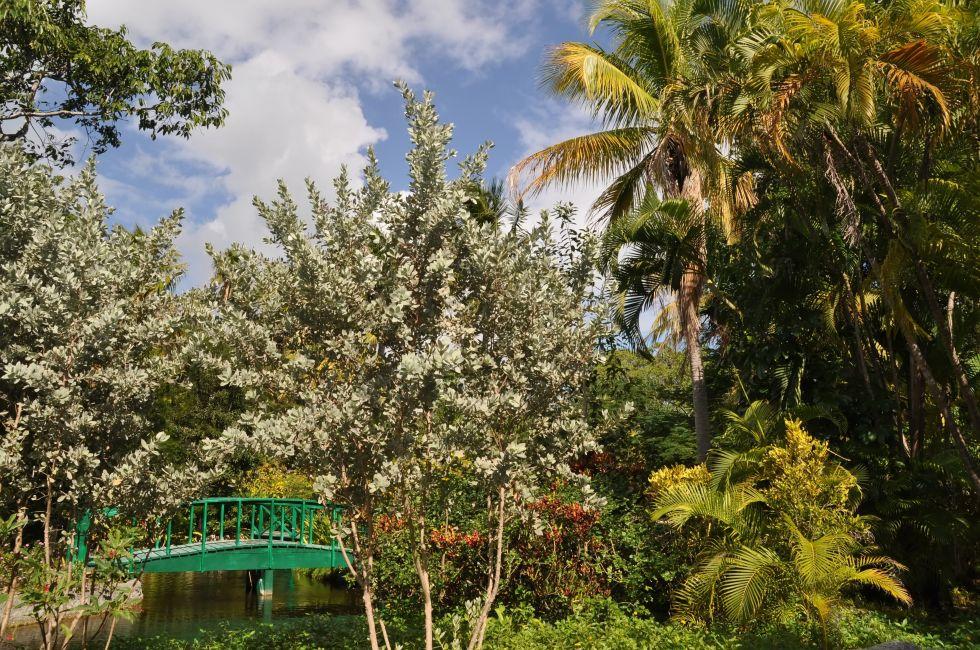 Garden of the Groves (Botanical Garden and National Park on Bahamas)