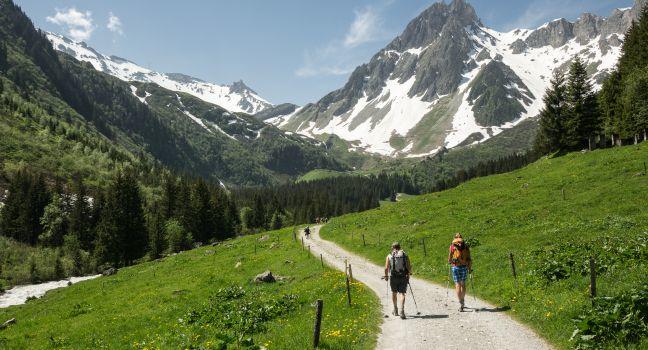 hikers in the Alps, France (Tour du Mont Blanc)