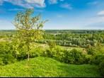 Beautiful view at the trees in the wood by the Danube river  in the spring, from the city of Ilok, Croatia