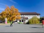 TOKYO, JAPAN - NOV 22: Tokyo National Museum. The oldest and largest museum on November 22, 2013 in Tokyo, Japan. They house the largest collection of national treasures and important cultural items in the country.