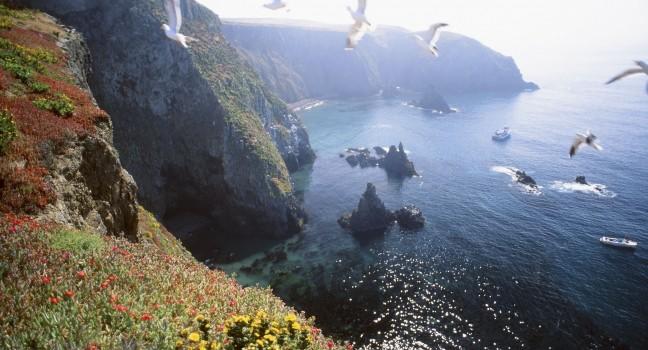 Anacapa Island, Channel Islands National Park off Ventura, California