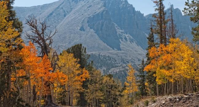 Nevada-Great Basin National Park-Wheeler Peak.