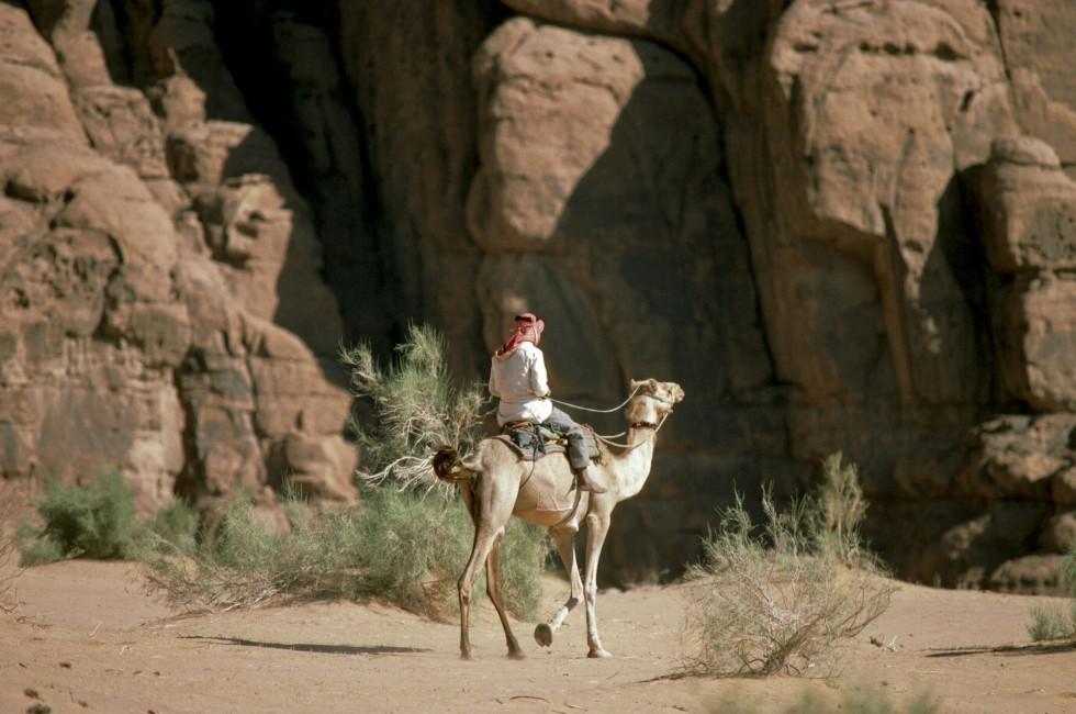 Camel Trek, Bedouin Encampment, Wadi Rum, Petra, Jordan