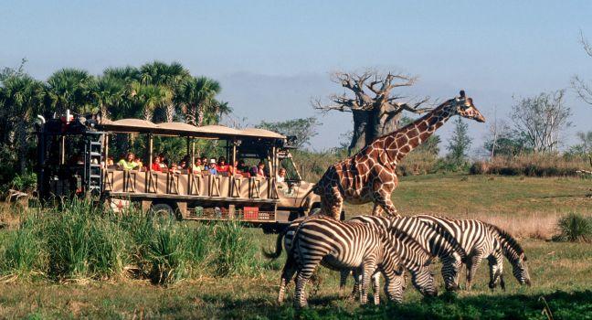 A Very Wild Time &#x2014; Passengers journey through the &#x201c;wild&#x201d; savannah