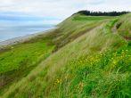 Coastline in beautiful ebey's landing national historic reserve, whidbey island, washington, usa; Shutterstock ID 63541219; Project/Title: 20 Best Day Trips in the U.S.; Downloader: Fodor's Travel