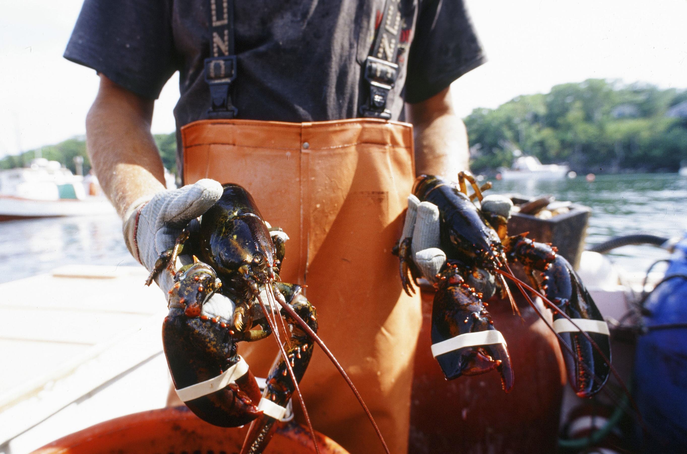 Penobscot Bay