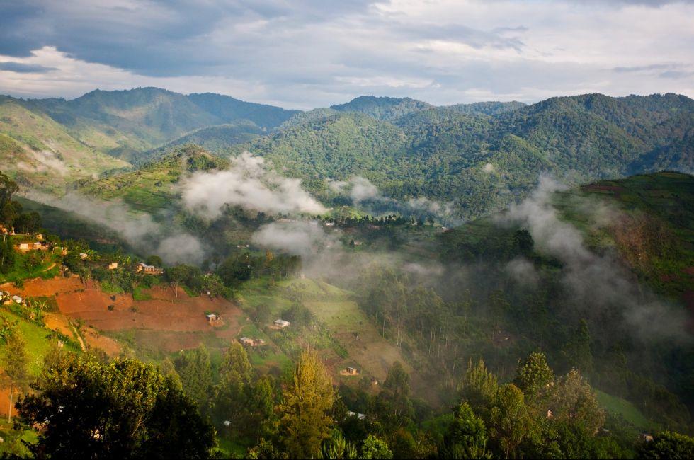 Beautiful landscape in southwestern Uganda, at the Bwindi Impenetrable Forest National Park. The Bwindi National Park is a UNESCO-designated World Heritage Site, home of the mountain gorillas.