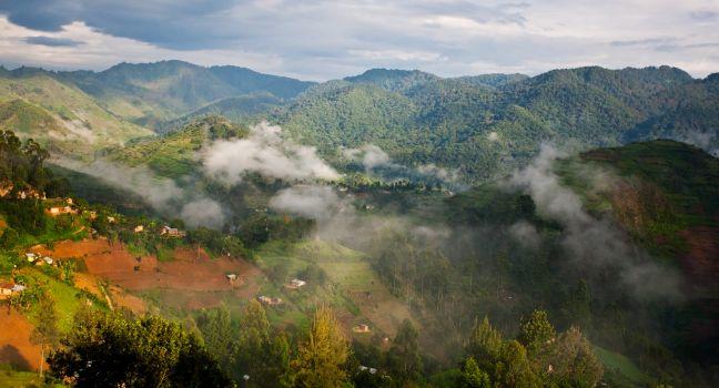Beautiful landscape in southwestern Uganda, at the Bwindi Impenetrable Forest National Park. The Bwindi National Park is a UNESCO-designated World Heritage Site, home of the mountain gorillas.