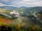 Beautiful landscape in southwestern Uganda, at the Bwindi Impenetrable Forest National Park. The Bwindi National Park is a UNESCO-designated World Heritage Site, home of the mountain gorillas.
