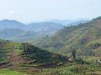 aerial view around the Virunga Mountains in Uganda (Africa)