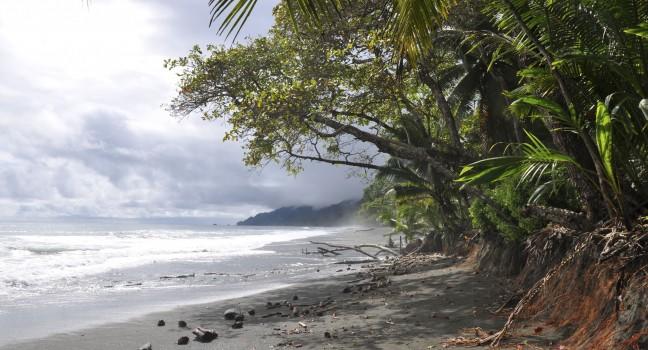 Tropical beach in Costa Rica.