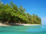 Tropical sandy beach with beautiful vegetation, view from the water surface, Caribbean sea, Viejo de Talamanca, Limon, Costa Rica;  