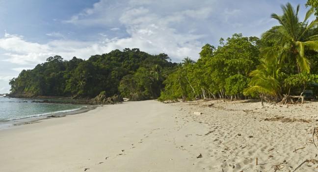 Playa Manuel Antonio & Punta Catedral in Manuel Antonio National Park, Costa Rica.