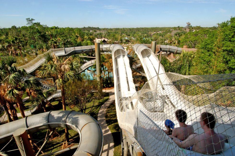 GUSHING GOOD TIMES!: Water park thrill seekers are in for a surprise as they defy gravity on Crush &#x2018;n&#x2019; Gusher, a n&#x201d;water coaster&#x201d; ride at Disney&#x2019;s Typhoon Lagoon at Walt Disney World Resort in Lake Buena Vista, Fla. Three