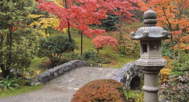Japanese Garden, Washington Park Arboretum, Seattle, Washington, USA 
