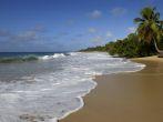 France, Martinique, Sainte Anne, beach of  les Salines