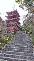Sunny Kochi (city), Shikoku in December-9-pasted-image-0.jpg