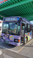 Sunny Kochi (city), Shikoku in December-4-pasted-image-0.jpg