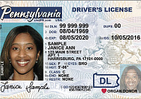 Car rental insurance questions in Europe-pennsylvania-driver-s-licence-2017.jpg