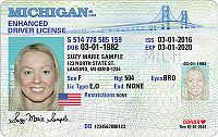 Car rental insurance questions in Europe-edl-real-id_598639_7.png