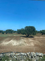 London to Siracusa By Train - Summer 2023 - Part 1-f79f5e_b1498fa0f8554487aaced6cc2b3256bf-mv2.jpeg