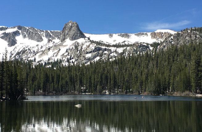 Mammoth