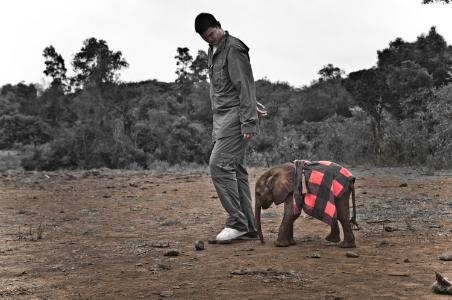 Yao Ming with a baby elephant