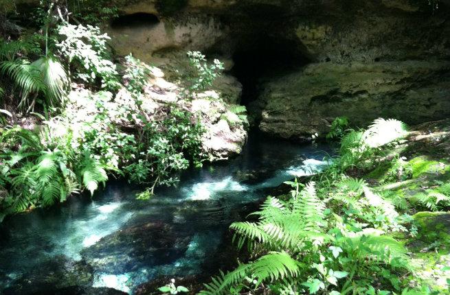 Rock Springs