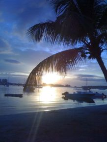 La Cigale, Baie Nettlé