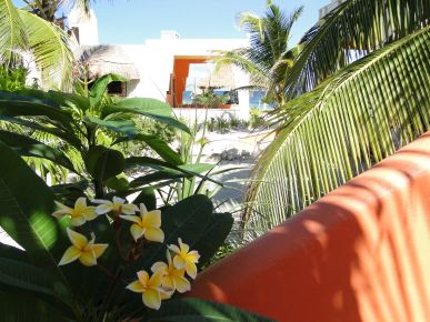 Mayan Beach Garden, Majahual