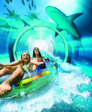 Atlantis, Paradise Island, Paradise Island