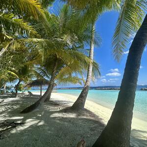 Avatar for Travel2025