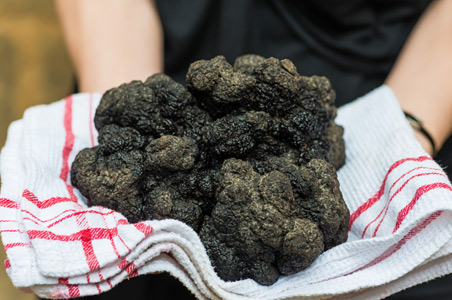 4-black-truffle-france.jpg