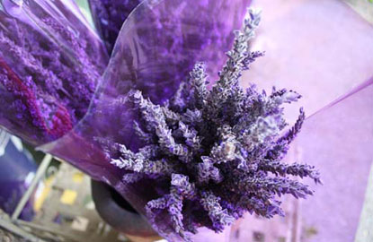 alii-kula-lavender.jpg