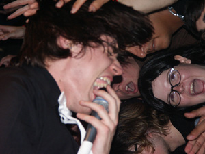 050211_hives.jpg