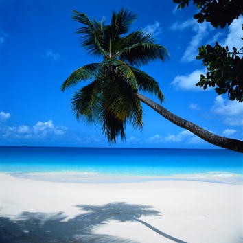 TAHITI.jpg