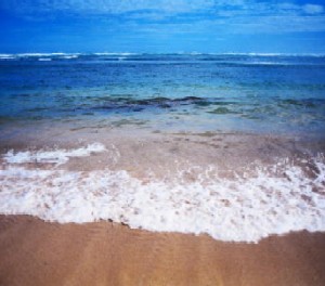 beach.jpg