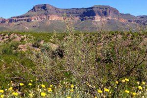 Road-Tripping West of the Pecos: Exploring Art and Nature in the Texas Borderlands