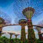 9-gardens-by-the-bay-singapore