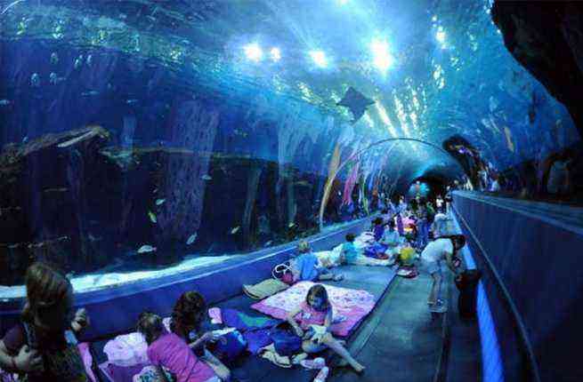 The State's Largest Aquarium