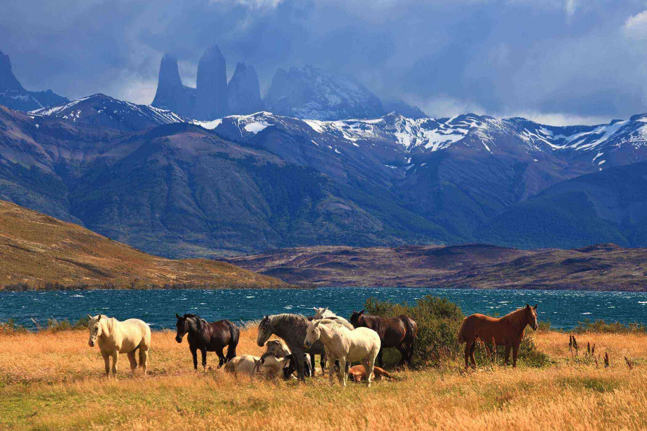 11 Cant-Miss Experiences in Patagonia