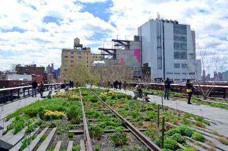 Your Complete Guide to Visiting the High Line
