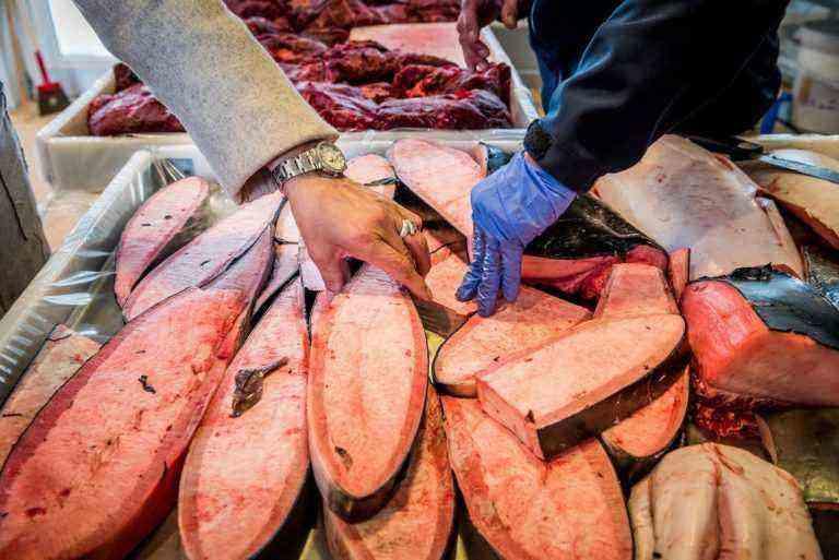 What to Eat in Greenland